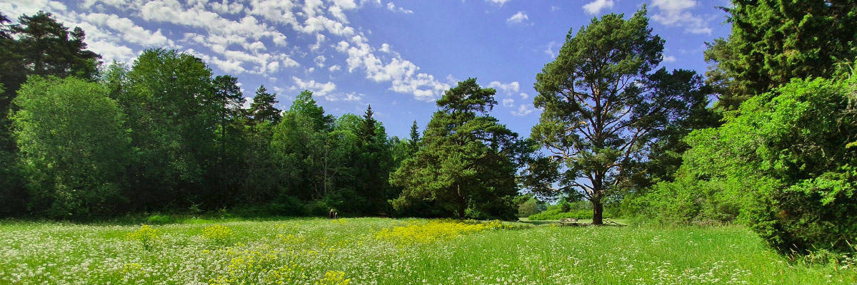 Was wir heute tun, entscheidet darüber, wie die Welt von morgen aussieht.